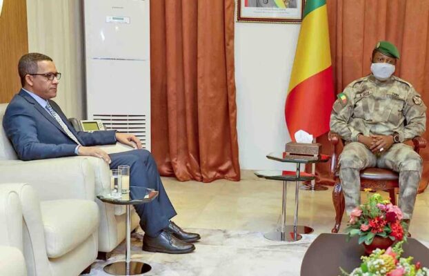 OMVS- Le tout nouveau Haut-commissaire reçu en audience par son Excellence le Colonel Assimi GOÏTA