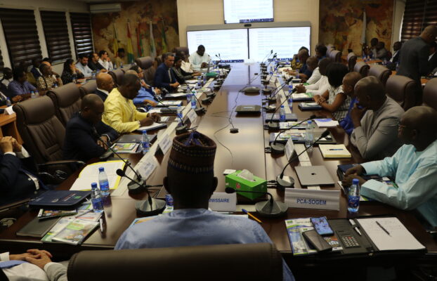 Réunion du comité spécial de suivi du projet Manantali II